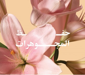حفظ المجوهرات